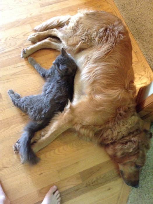 660C4CA3-3237-4E59-B6B2-82A06BD02A9C