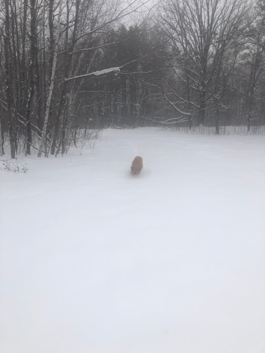 EC7EDED5-F1D1-41F0-B946-67D8CDA468C2